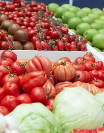 Foods for Menopause Foods for Menopause